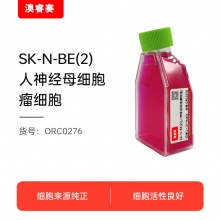 SK-N-BE2（人神经母细胞瘤细胞）