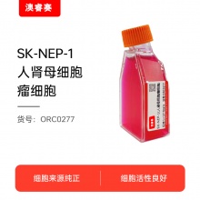 SK-NEP-1（人肾母细胞瘤细胞）