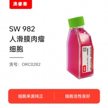 SW 982 [SW-982, SW982]（人滑膜肉瘤细胞）