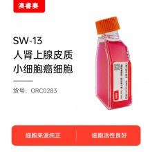SW-13（人肾上腺皮质小细胞癌细胞）