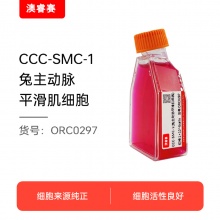 CCC-SMC-1（兔主动脉平滑肌细胞）