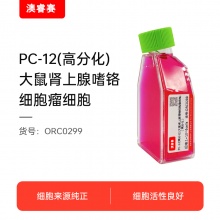 PC-12高分化（大鼠肾上腺嗜铬细胞瘤细胞（高分化））