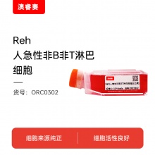 Reh（人急性非B非T淋巴细胞白血病）