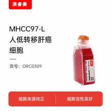 MHCC97-L（人低转移肝癌细胞）