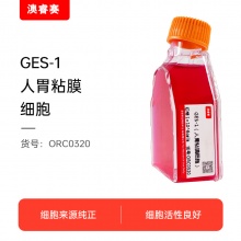 GES-1（人胃粘膜细胞）