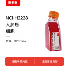 NCI-H2228 [H2228; H-2228]（人肺癌细胞）