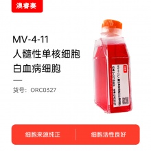 MV-4-11（人髓性单核细胞白血病细胞）