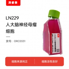 LN229（人大脑神经母瘤细胞）