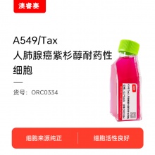 A549/Tax（人肺腺癌紫杉醇耐药性细胞）