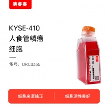KYSE-410（人食管鳞癌细胞）