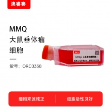 MMQ（大鼠垂体瘤细胞）