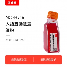 NCI-H716（人结直肠腺癌细胞）