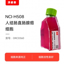 NCI-H508[H508]（人结肠直肠腺癌细胞）