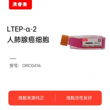 LTEP-α-2（人肺腺癌细胞）