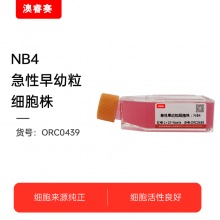 NB4（急性早幼粒细胞株）