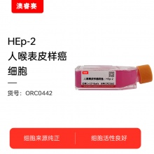 HEp-2（人喉表皮样癌细胞）