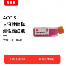 ACC-3（人涎腺腺样囊性癌细胞）