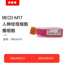 BE2-M17（人神经母细胞瘤细胞）