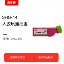 SHG-44（人胶质瘤细胞）