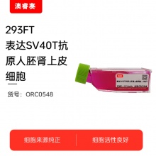 293FT（表达SV40T抗原人胚肾上皮细胞）