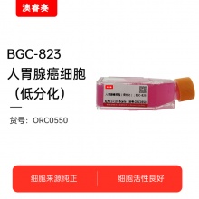 BGC-823（人胃腺癌细胞（低分化））