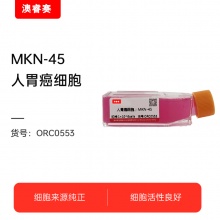 MKN-45（人胃癌细胞）