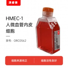 HMEC-1（人微血管内皮细胞株）