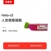Hela-s3（人宫颈癌细胞）