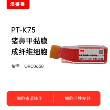 PT-K75（猪鼻甲黏膜成纤维细胞）