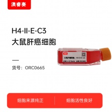 H4-II-E-C3（大鼠肝癌细胞）