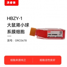 HBZY-1（大鼠肾小球系膜细胞）