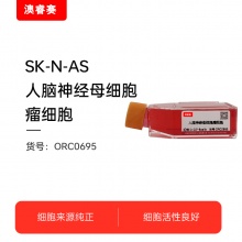 SK-N-AS（人脑神经母细胞瘤细胞）