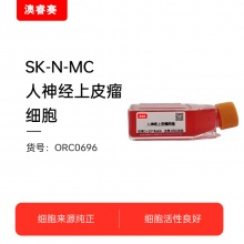 SK-N-MC（人神经上皮瘤细胞）