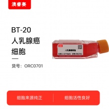BT-20（人乳腺癌细胞）