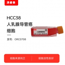 HCC38（人乳腺导管癌细胞）