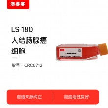 LS 180（人结肠腺癌细胞）