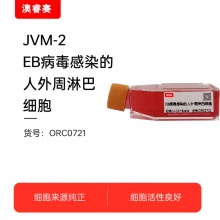 JVM-2（EB病毒感染的人外周淋巴细胞）