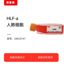 HLF-a（人肺细胞）