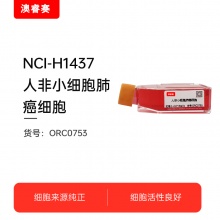 NCI-H1437（人非小细胞肺癌细胞）