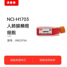 NCI-H1703（人肺腺鳞癌细胞）