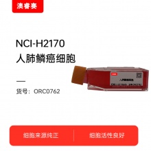 NCI-H2170（人肺鳞癌细胞）