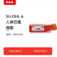 SU-DHL-6（人淋巴瘤细胞）