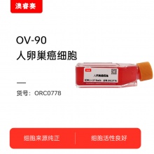 OV-90（人卵巢癌细胞）