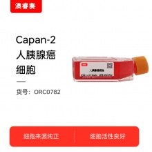Capan-2（人胰腺癌细胞）