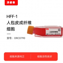 HFF-1（人包皮成纤维细胞）