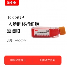 TCCSUP（人膀胱移行细胞癌细胞）
