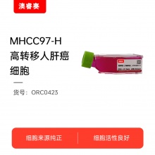 MHCC97-H（高转移人肝癌细胞）
