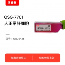 QSG-7701（人正常肝细胞）