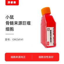 小鼠骨髓来源巨噬细胞