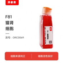 F81（猫肾细胞）